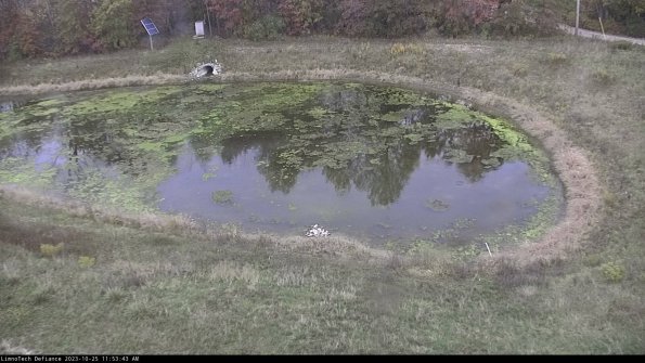 Basin Right_23-10-25_11-53-43-77