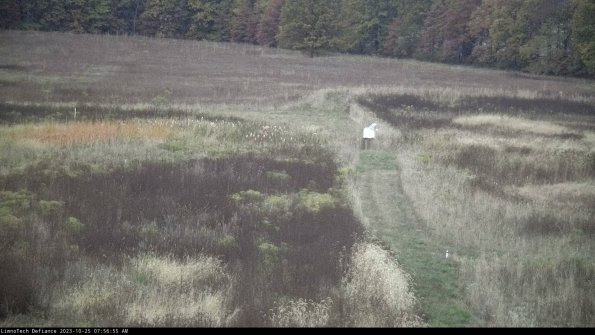 Cell 1 to 2_23-10-25_07-56-55-76