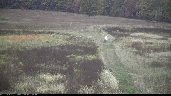 Cell 1 to 2_23-10-25_08-30-26-78