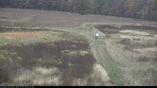 Cell 1 to 2_23-10-25_09-03-56-80