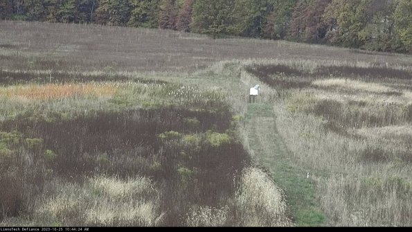 Cell 1 to 2_23-10-25_10-44-24-76