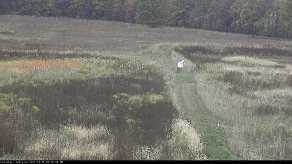 Cell 1 to 2_23-10-25_14-38-48-79