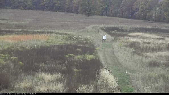 Cell 1 to 2_23-10-25_15-45-45-76