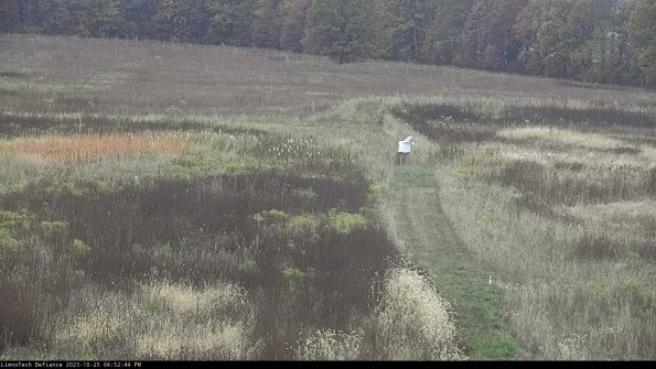 Cell 1 to 2_23-10-25_16-52-44-77