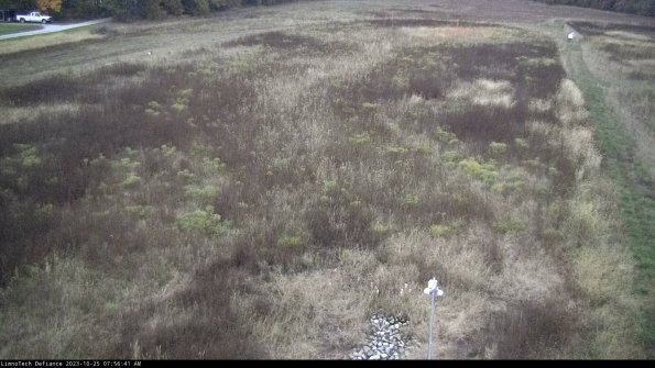 Cell 1_23-10-25_07-56-41-78