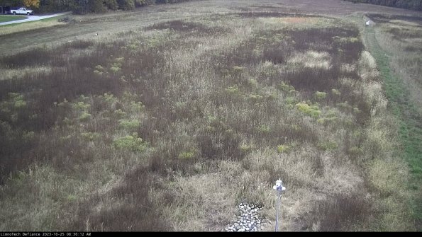 Cell 1_23-10-25_08-30-12-77