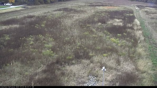 Cell 1_23-10-25_09-37-11-77