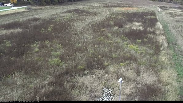 Cell 1_23-10-25_10-44-10-77