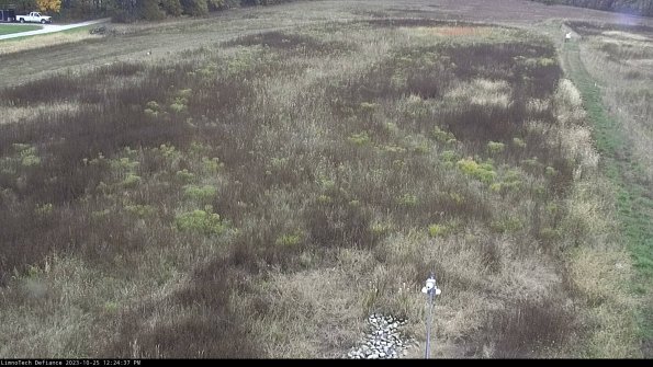 Cell 1_23-10-25_12-24-37-77