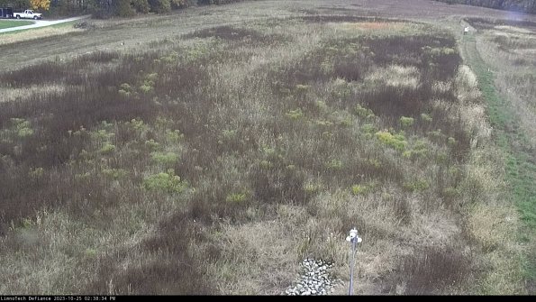 Cell 1_23-10-25_14-38-34-78