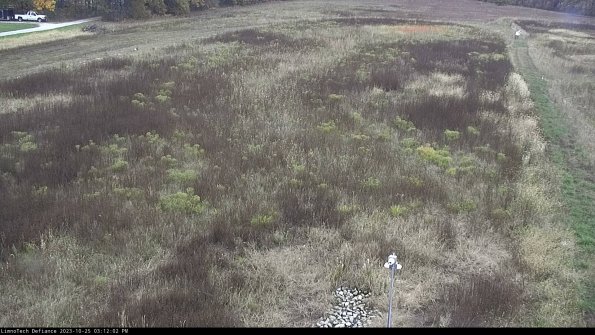 Cell 1_23-10-25_15-12-02-76