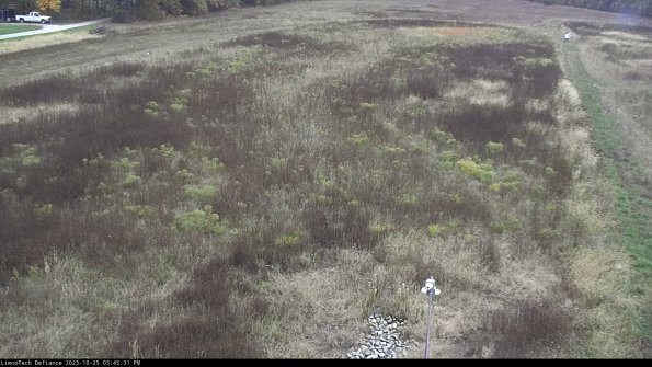 Cell 1_23-10-25_15-45-31-78