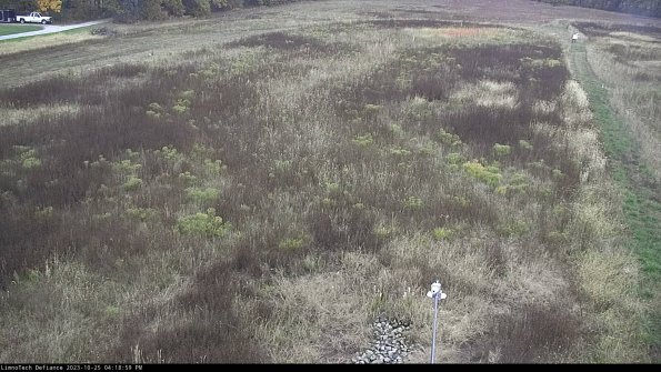 Cell 1_23-10-25_16-18-59-80