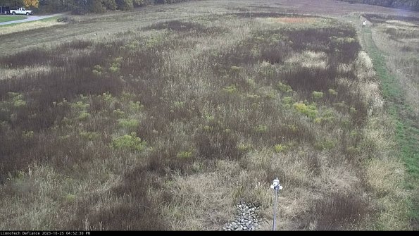 Cell 1_23-10-25_16-52-30-79