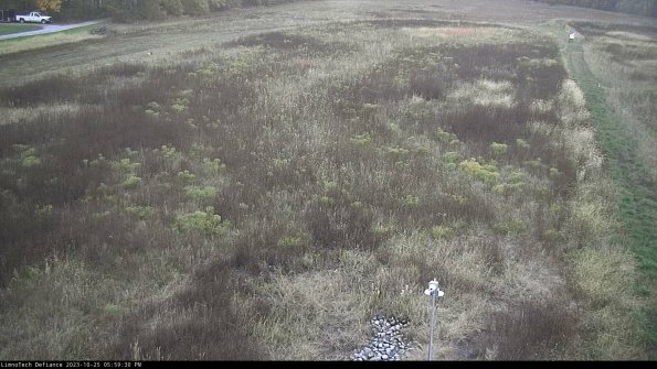 Cell 1_23-10-25_17-59-30-80