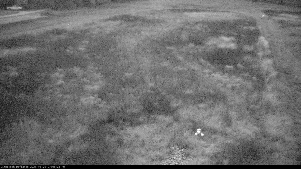 Cell 1_23-10-25_19-06-28-80