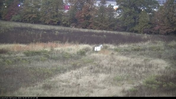 Cell 2 to 3_23-10-25_07-57-21-89