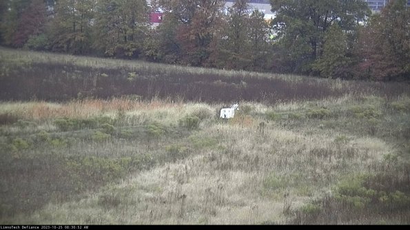 Cell 2 to 3_23-10-25_08-30-52-87