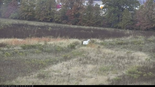 Cell 2 to 3_23-10-25_09-37-51-91