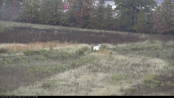 Cell 2 to 3_23-10-25_10-11-20-90