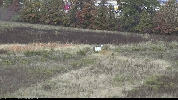 Cell 2 to 3_23-10-25_10-44-50-88