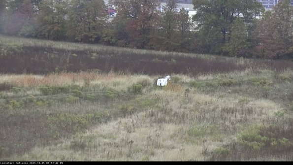 Cell 2 to 3_23-10-25_15-12-42-94