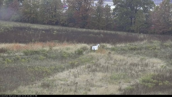 Cell 2 to 3_23-10-25_15-46-11-79