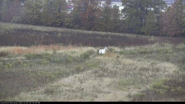 Cell 2 to 3_23-10-25_16-19-39-94