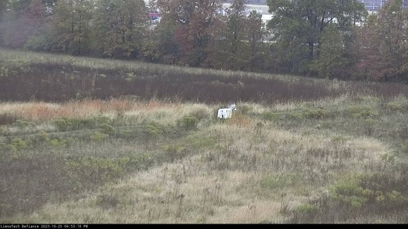 Cell 2 to 3_23-10-25_16-53-10-83