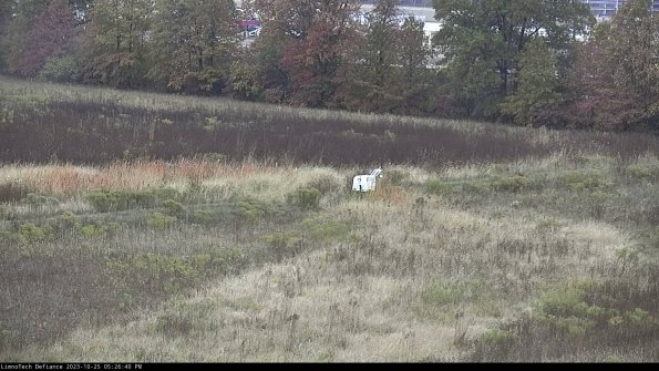 Cell 2 to 3_23-10-25_17-26-40-95