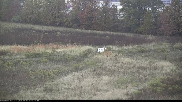 Cell 2 to 3_23-10-25_18-00-10-90