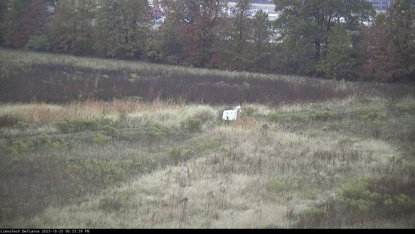 Cell 2 to 3_23-10-25_18-33-39-92