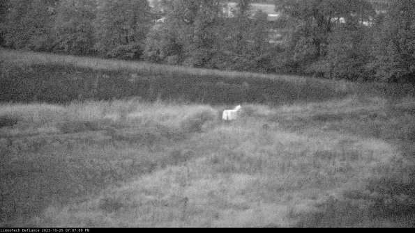 Cell 2 to 3_23-10-25_19-07-09-78