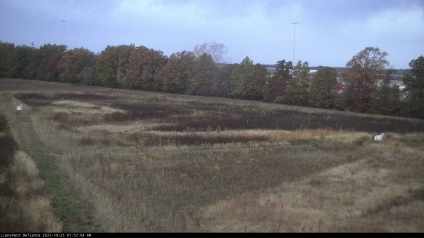 Cell 2_23-10-25_07-57-08-81