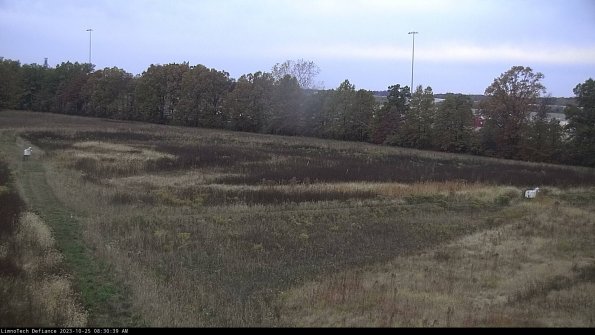 Cell 2_23-10-25_08-30-39-79