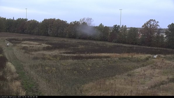 Cell 2_23-10-25_09-04-09-81