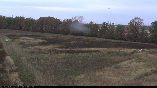 Cell 2_23-10-25_09-37-38-80