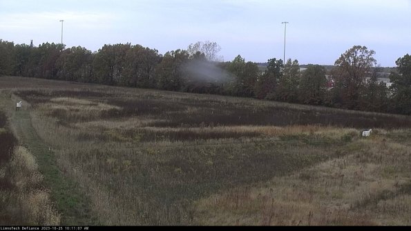 Cell 2_23-10-25_10-11-07-82