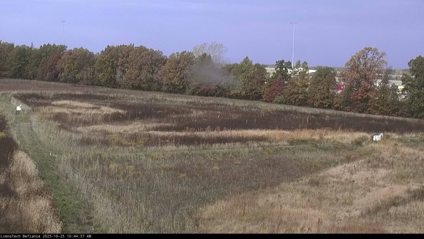 Cell 2_23-10-25_10-44-37-77