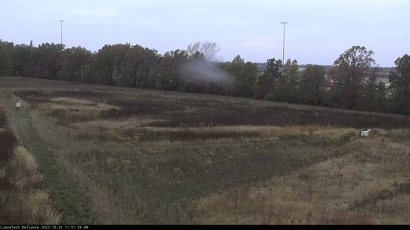 Cell 2_23-10-25_11-51-34-87