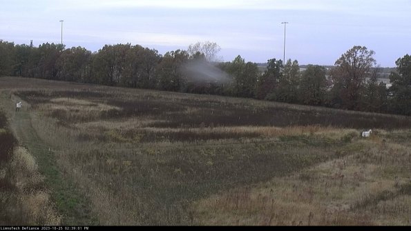 Cell 2_23-10-25_14-39-01-84