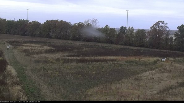 Cell 2_23-10-25_15-45-58-78