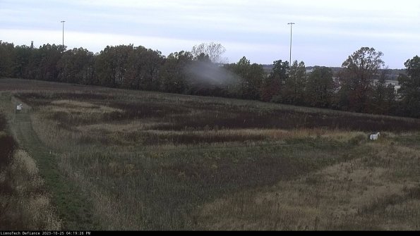 Cell 2_23-10-25_16-19-26-86