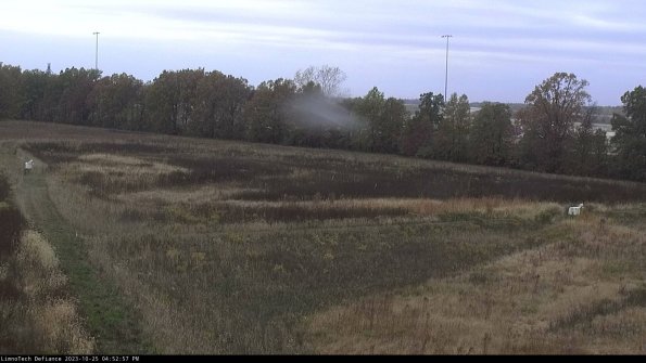 Cell 2_23-10-25_16-52-57-82