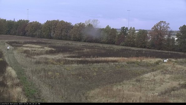 Cell 2_23-10-25_17-26-27-84