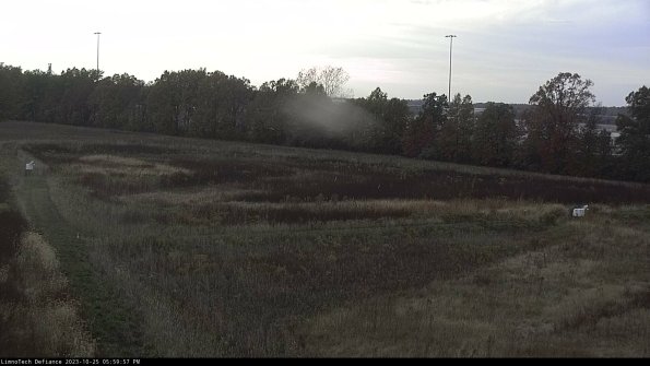 Cell 2_23-10-25_17-59-57-79