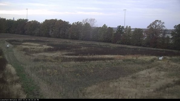 Cell 2_23-10-25_18-33-26-84