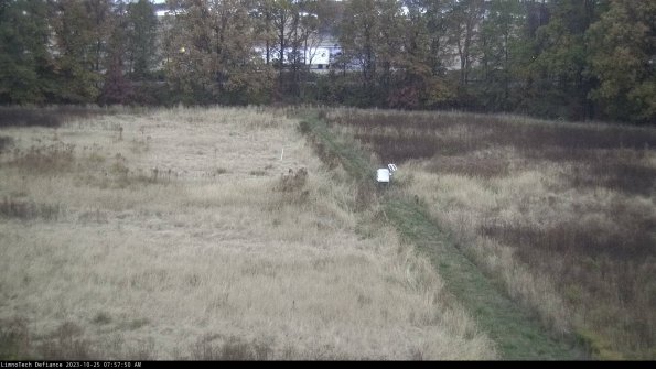 Cell 3 to 4_23-10-25_07-57-50-78