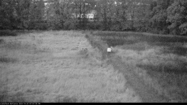 Cell 3 to 4_23-10-25_19-07-38-77