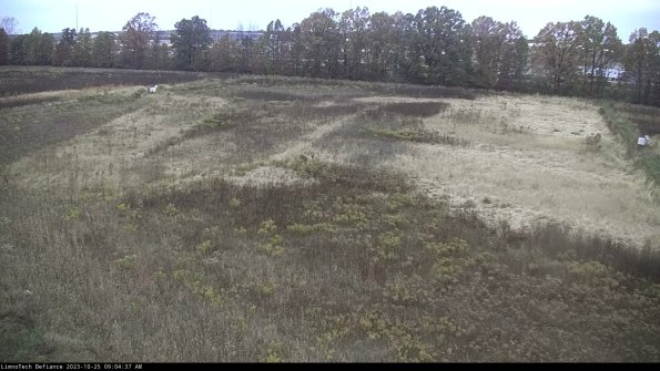 Cell 3_23-10-25_09-04-37-77